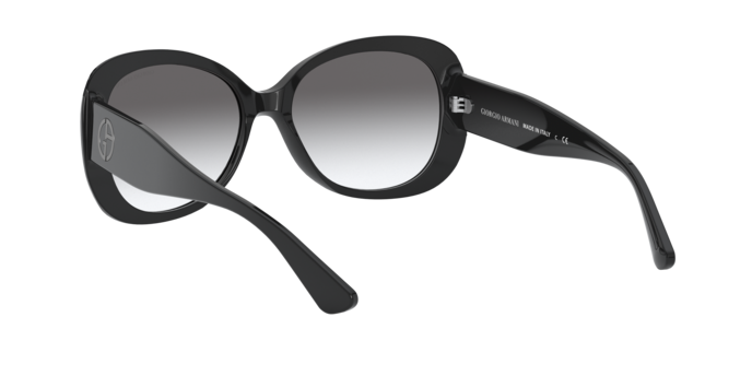 Giorgio Armani AR8132 500111  